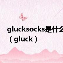 glucksocks是什么牌子(gluck)