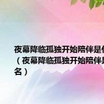 夜幕降临孤独开始陪伴是什么歌词(夜幕降临孤独开始陪伴是什么歌名)