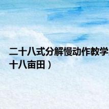 二十八式分解慢动作教学片(二十八亩田)