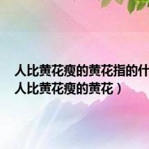 人比黄花瘦的黄花指的什么花(人比黄花瘦的黄花)