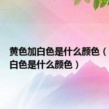 黄色加白色是什么颜色(黄色加白色是什么颜色)