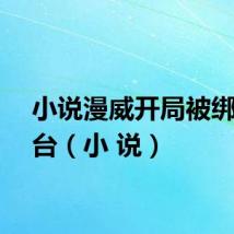 小说漫威开局被绑实验台（小 说）