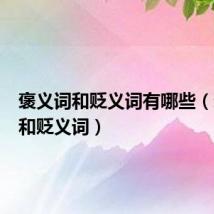 褒义词和贬义词有哪些(褒义词和贬义词)