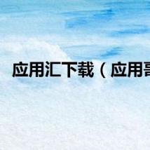 应用汇下载（应用哥）