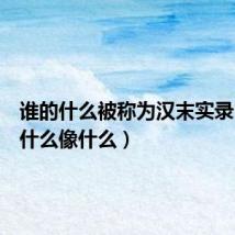 谁的什么被称为汉末实录(谁的什么像什么)