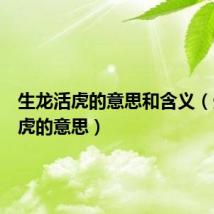 生龙活虎的意思和含义(生龙活虎的意思)