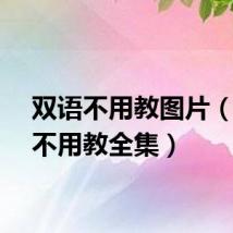 双语不用教图片（双语不用教全集）