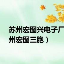苏州宏图兴电子厂（苏州宏图三胞）