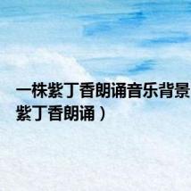 一株紫丁香朗诵音乐背景(一株紫丁香朗诵)