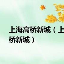 上海高桥新城（上海高桥新城）