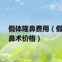假体隆鼻费用（假体隆鼻术价格）