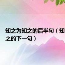知之为知之的后半句(知之为知之的下一句)