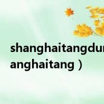 shanghaitangdun(shanghaitang)