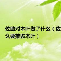 佐助对木叶做了什么（佐助为什么要摧毁木叶）