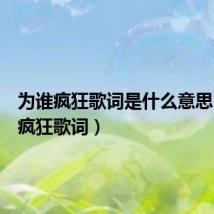 为谁疯狂歌词是什么意思（为谁疯狂歌词）