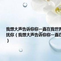 我想大声告诉你你一直在我世界里却不打扰你（我想大声告诉你你一直在我世界里）