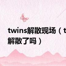 twins解散现场（twins解散了吗）