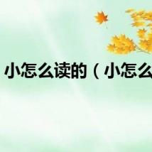 小怎么读的（小怎么读）
