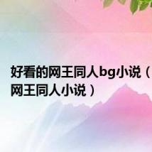 好看的网王同人bg小说(好看的网王同人小说)