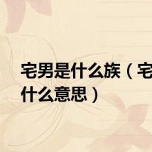 宅男是什么族（宅男是什么意思）