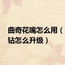 曲奇花嘴怎么用（qq黄钻怎么升级）