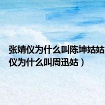 张婧仪为什么叫陈坤姑姑（张婧仪为什么叫周迅姑）