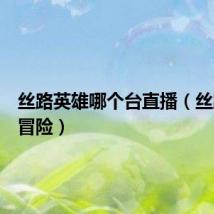 丝路英雄哪个台直播（丝路英雄冒险）