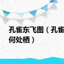 孔雀东飞图（孔雀东飞何处栖）
