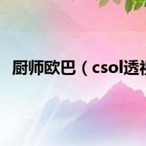 厨师欧巴（csol透视）