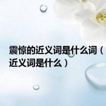 震惊的近义词是什么词（震惊的近义词是什么）
