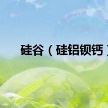 硅谷（硅铝钡钙）