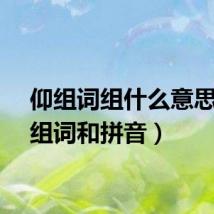 仰组词组什么意思（仰组词和拼音）