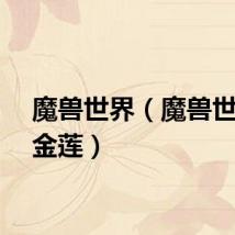 魔兽世界（魔兽世界黄金莲）