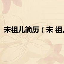 宋祖儿简历（宋 祖儿）