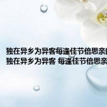 独在异乡为异客每逢佳节倍思亲的古诗(独在异乡为异客 每逢佳节倍思亲的意思)