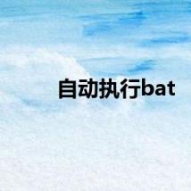 自动执行bat