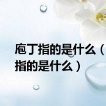 庖丁指的是什么（庖丁指的是什么）