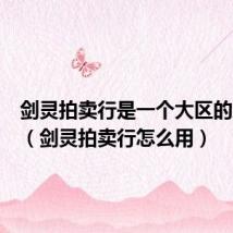 剑灵拍卖行是一个大区的东西吗（剑灵拍卖行怎么用）