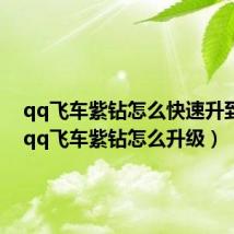 qq飞车紫钻怎么快速升到3级(qq飞车紫钻怎么升级)