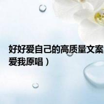 好好爱自己的高质量文案(好好爱我原唱)