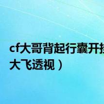 cf大哥背起行囊开挂(cf大飞透视)