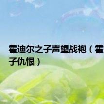 霍迪尔之子声望战袍(霍迪尔之子仇恨)
