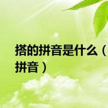 搭的拼音是什么（搭的拼音）