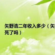矢野浩二年收入多少(矢野浩二死了吗)