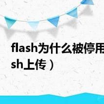flash为什么被停用(flash上传)