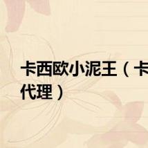 卡西欧小泥王（卡西欧代理）