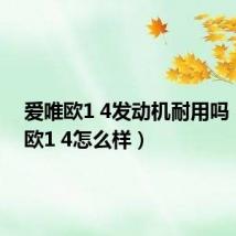 爱唯欧1 4发动机耐用吗(爱唯欧1 4怎么样)