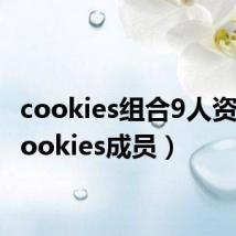 cookies组合9人资料(cookies成员)
