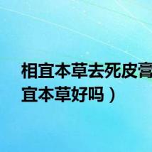 相宜本草去死皮膏（相宜本草好吗）