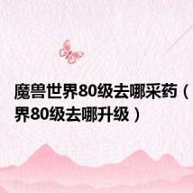 魔兽世界80级去哪采药(魔兽世界80级去哪升级)